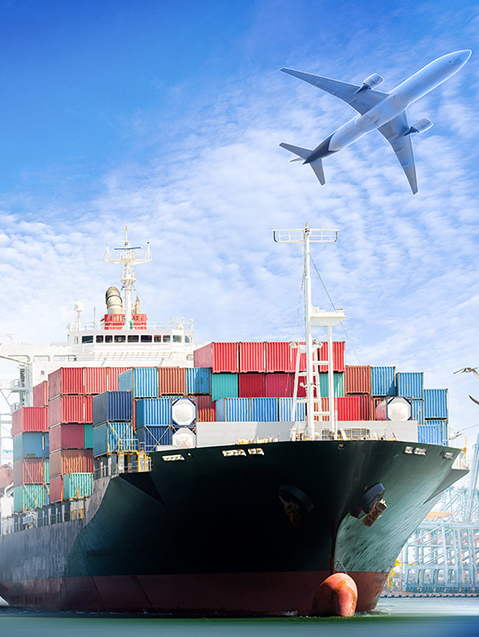   山東文辰國際貿易有限公司