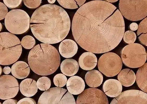 南美洲木材 (一手貨源）
